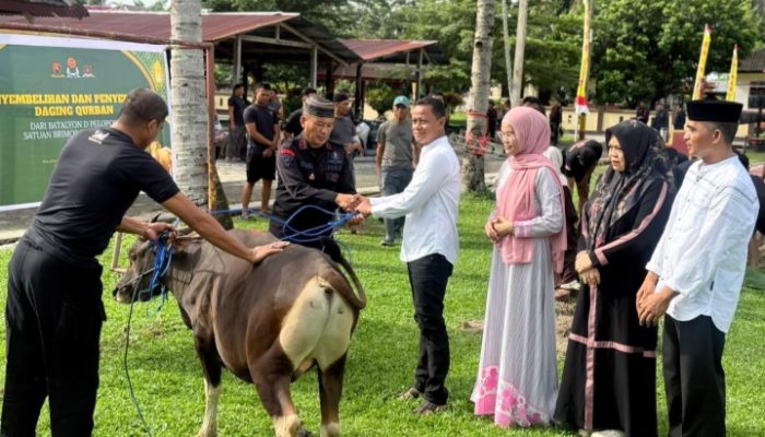 Sisipkan Gaji Setiap Bulan, Personel Batalyon D Pelopor Kurban 21 Ekor Sapi untuk Masyarakat