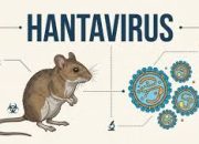 Wabah Hantavirus Menghantui, Epidemiologi Masdalina Pane sebut, Penularan Melalui Hewan Pengerak dan Kontak Manusia ke Manusia