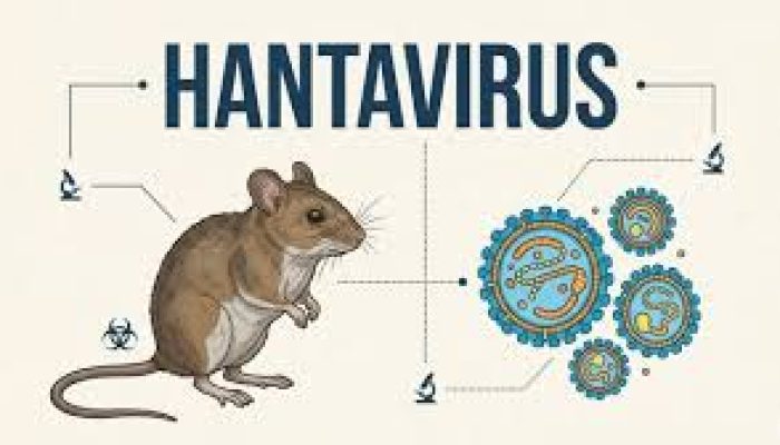 Wabah Hantavirus Menghantui, Epidemiologi Masdalina Pane sebut, Penularan Melalui Hewan Pengerak dan Kontak Manusia ke Manusia