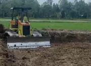 Pemkab Luwu Utara Cetak 2.960 Hektare Sawah Rakyat