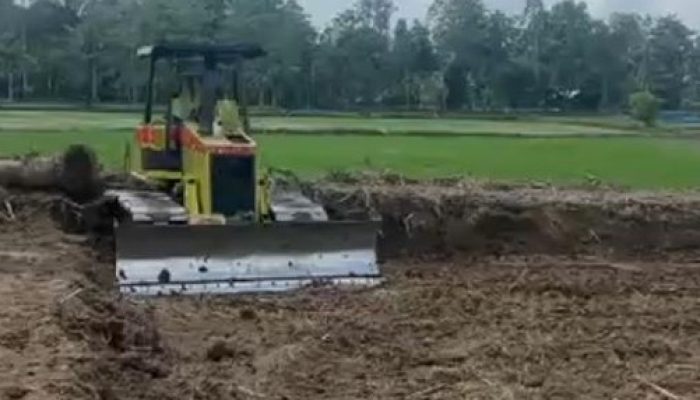 Pemkab Luwu Utara Cetak 2.960 Hektare Sawah Rakyat