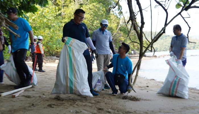 Hari Konservasi Alam Nasional, PT Vale Lestarikan Pesisir Pantai Melalui Penanaman Mangrove dan Transplantasi Lamun