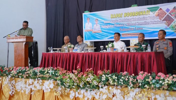 Rakor Produksi dan Hilirisasi Komoditas Perkebunan, Bupati Harap Kabupaten Luwu jadi Sentra Kakao, Pala, dan Kopi