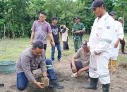 Kembangkan Komoditas Perkebunan Bernilai Tinggi, Bupati Luwu Tanam Perdana Bibit Aren Genjah
