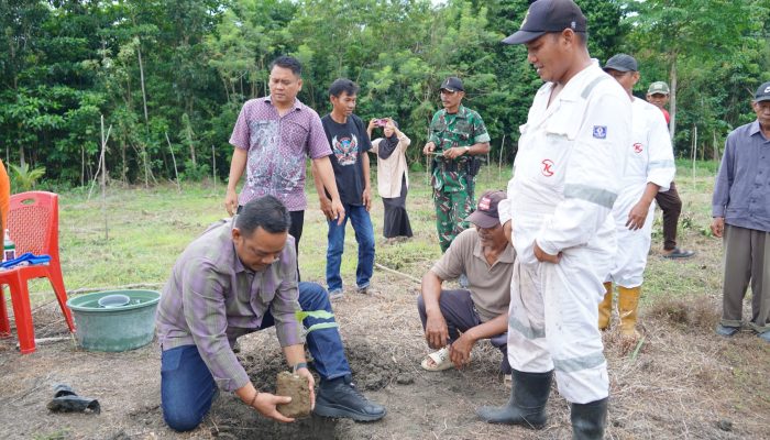 Kembangkan Komoditas Perkebunan Bernilai Tinggi, Bupati Luwu Tanam Perdana Bibit Aren Genjah
