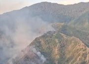 Diduga Dipicu Kelalaian Warga, 10 Hektare Hutan Pinus Gunung Nona Terbakar