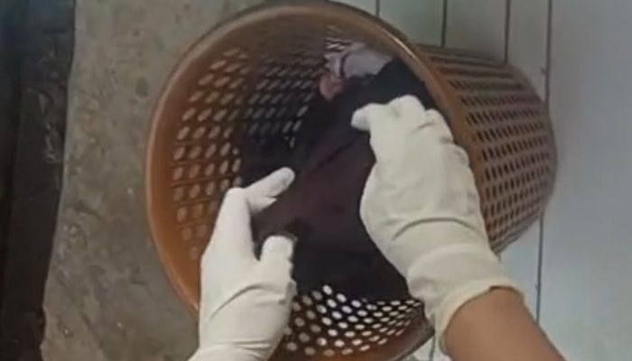 Jasad Bayi Baru Lahir Ditemukan di Tempat Sampah UGD Puskesmas Larompong Selatan