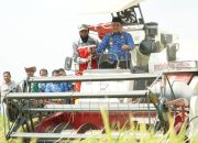 Panen Perdana di Walenrang Timur, Pemkab Luwu Targetkan Peningkatan IP Melalui Progra Oplah 14 e7da8807 1580 4536 a89b 48c0cc5a7b74 e1789638593986