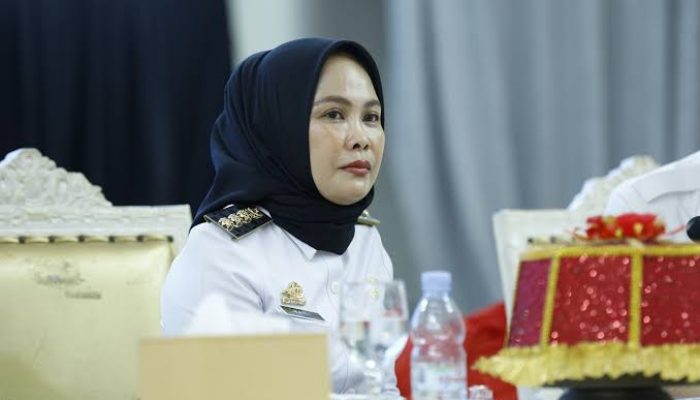 Rehab Rujab Walikota Palopo Telan Anggaran Miliaran Rupiah, Termasuk Interior Lemari Tas Naili Trisal