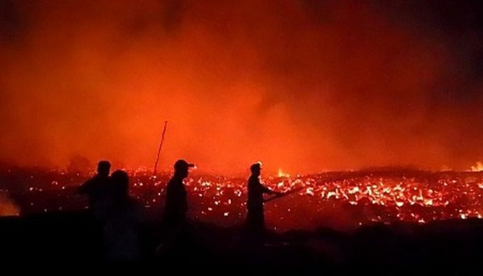 Belasan Hektare Pembuangan Limbah Kayu PT SGS Dilalap Api
