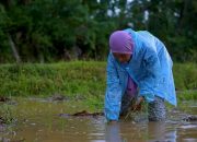 Dari Tabungan Ember ke Baitullah; Kisah Nenek Jumariah Menepis Ketidakmungkinan Bersama BPKH