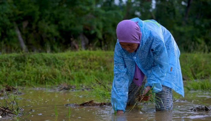 Dari Tabungan Ember ke Baitullah; Kisah Nenek Jumariah Menepis Ketidakmungkinan Bersama BPKH