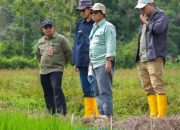 Komitmen PT Vale Indonesia Tbk Dalam Menjaga Keberlansungan Ketahanan Pangan Masyarakat di Area Operasional
