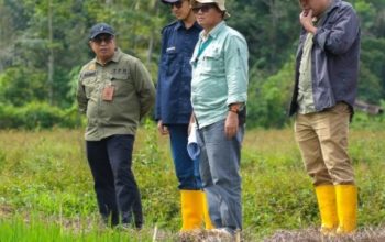 Komitmen PT Vale Indonesia Tbk Dalam Menjaga Keberlansungan Ketahanan Pangan Masyarakat di Area Operasional 3 IMG 20261017 WA0035