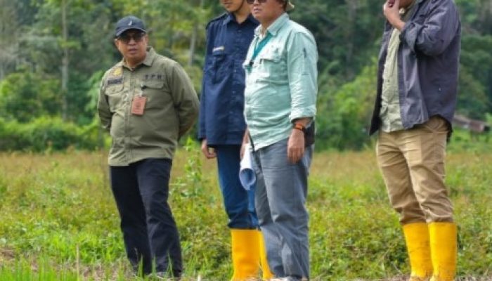 Komitmen PT Vale Indonesia Tbk Dalam Menjaga Keberlansungan Ketahanan Pangan Masyarakat di Area Operasional