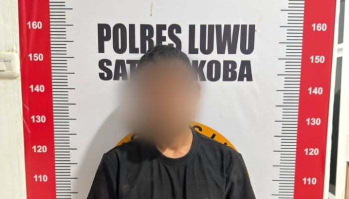 Komitmen Berantas Peredaran Narkotika, Satresnarkoba Polres Luwu Gagalkan Peredaran 44 Saset Sabu