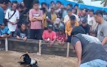 Terkait Dugaan Judi Sabung Ayam, AKP Idris Pertanyakan Masyarakat kenapa Mengadu ke Awak Media 3 WhatsApp Image 2026 10 23 at 15.42.47 e1792745817662