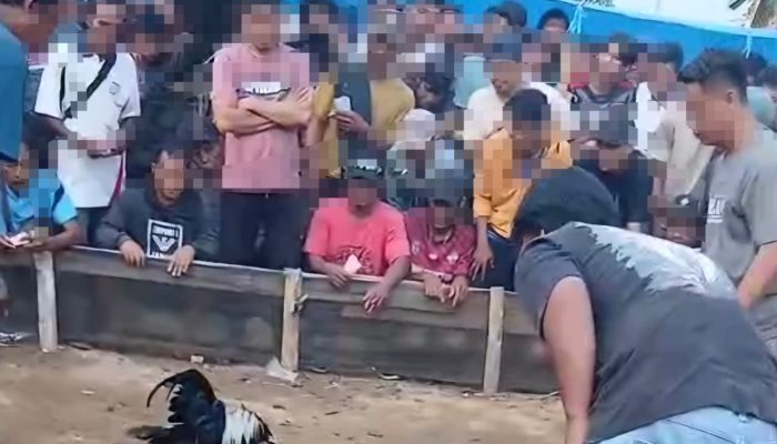 Terkait Dugaan Judi Sabung Ayam, AKP Idris Pertanyakan Masyarakat kenapa Mengadu ke Awak Media