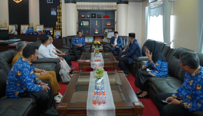 Pemkab Luwu-Universitas Muhammadiyah Palopo Bahas Kerja Sama Rencana Pembukaan Fakultas Kedokteran